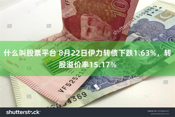 什么叫股票平台 8月22日伊力转债下跌1.63%，转股溢价率15.17%