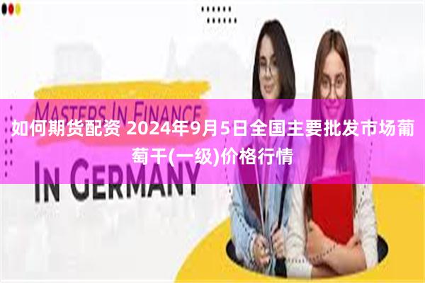 如何期货配资 2024年9月5日全国主要批发市场葡萄干(一级)价格行情