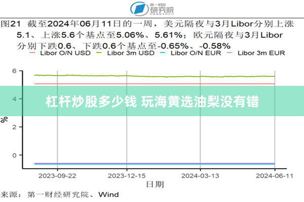 杠杆炒股多少钱 玩海黄选油梨没有错