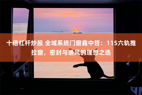 十倍杠杆炒股 全域系统门窗鑫中哲：115六轨推拉窗，密封与通风的理想之选