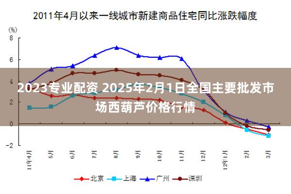 2023专业配资 2025年2月1日全国主要批发市场西葫芦价格行情